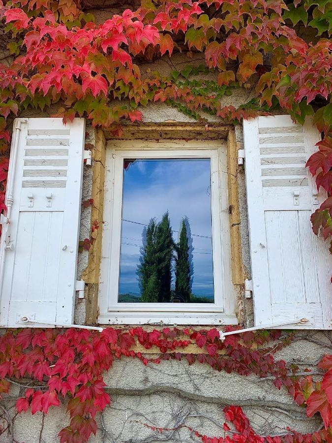 Le Gite De Buffetieres Saint-Romain-de-Popey Extérieur photo