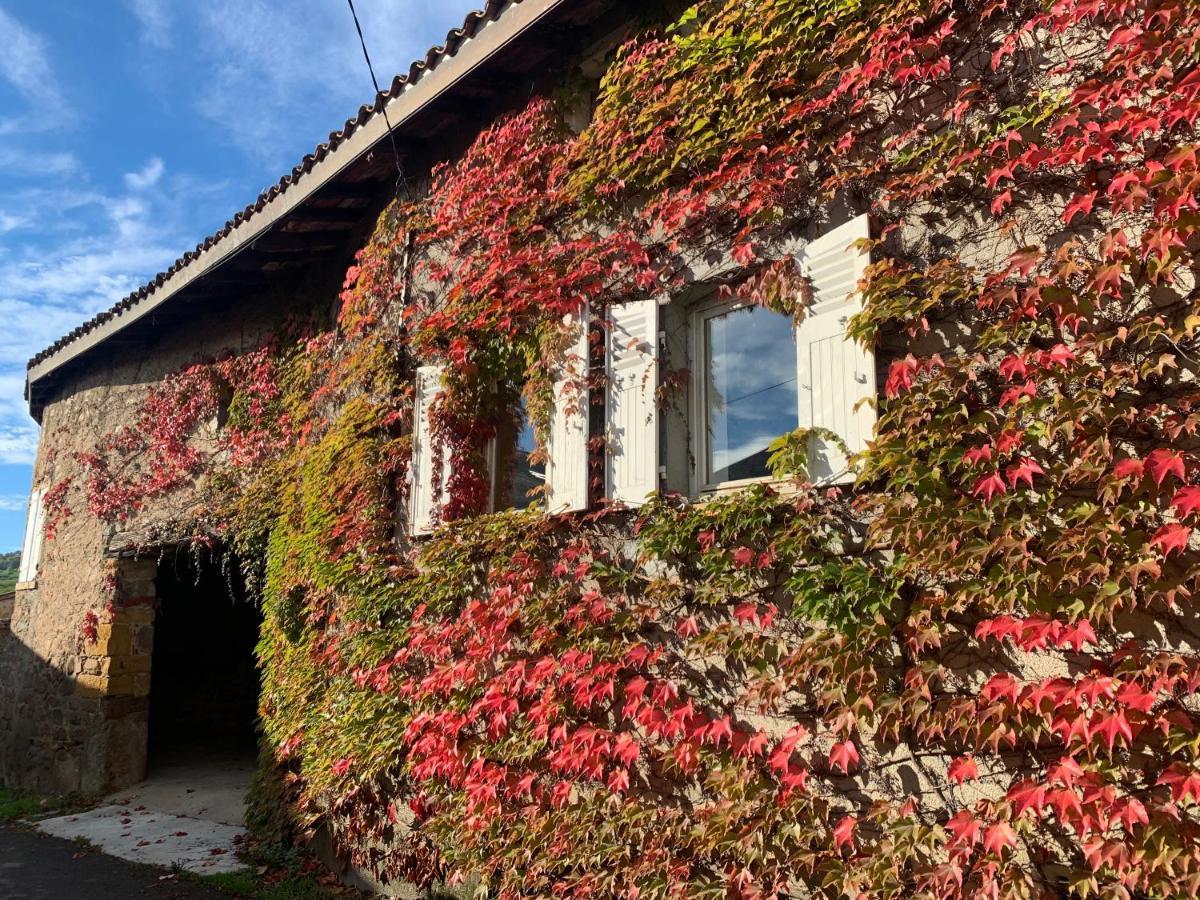Le Gite De Buffetieres Saint-Romain-de-Popey Extérieur photo