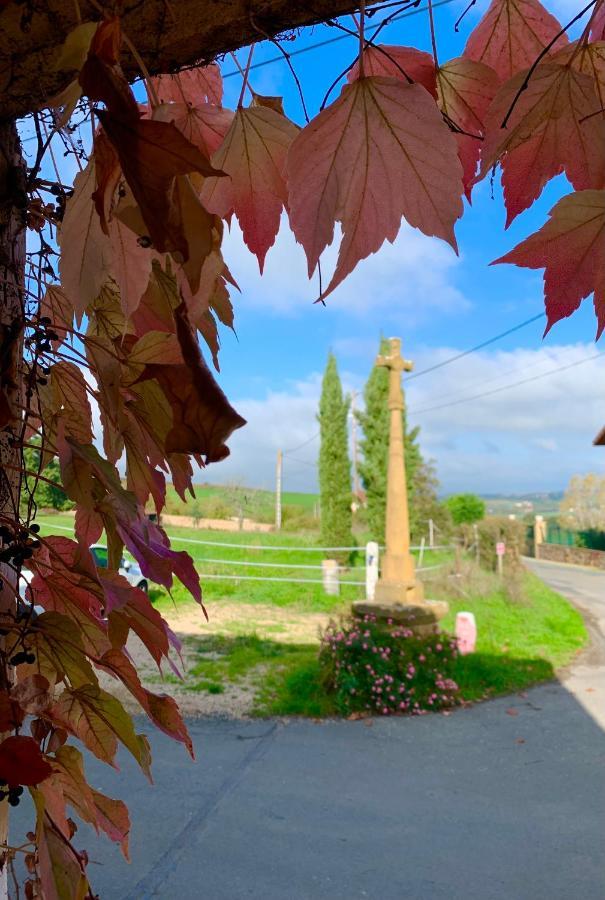 Le Gite De Buffetieres Saint-Romain-de-Popey Extérieur photo