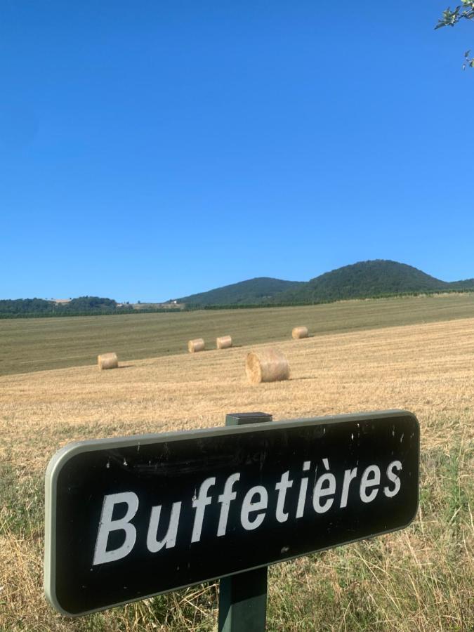 Le Gite De Buffetieres Saint-Romain-de-Popey Extérieur photo