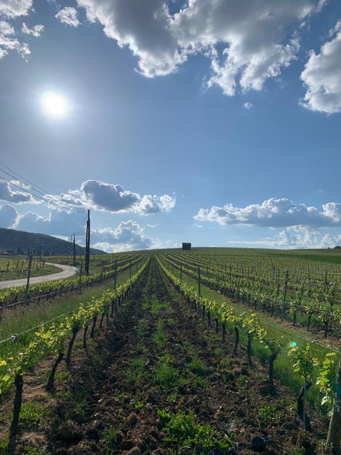 Le Gite De Buffetieres Saint-Romain-de-Popey Extérieur photo