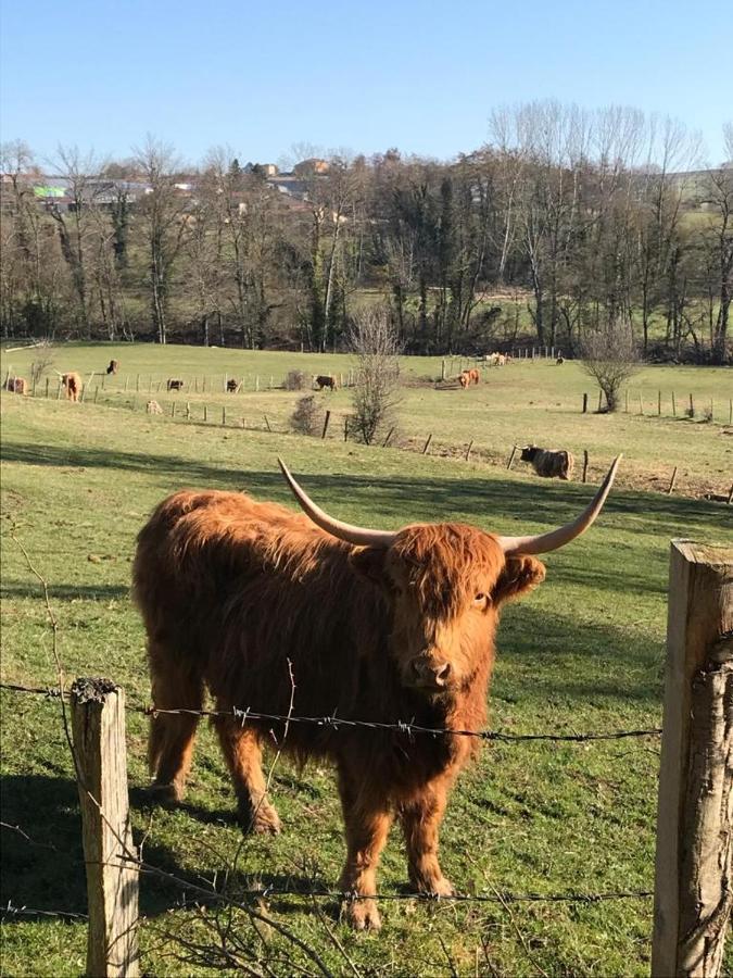 Le Gite De Buffetieres Saint-Romain-de-Popey Extérieur photo